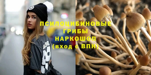 прущий лед Лиски