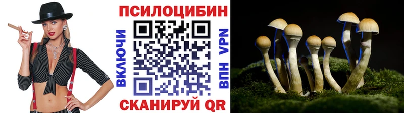 Галлюциногенные грибы мицелий Брянск
