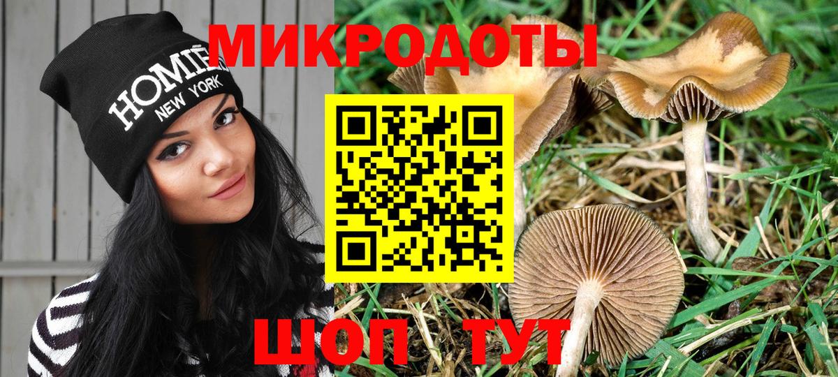 Псилоцибиновые грибы MAGIC MUSHROOMS  Вход с VPN  Брянск 