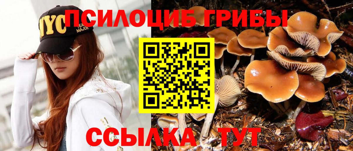 Псилоцибиновые грибы прущие грибы Брянск