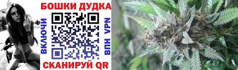 купить закладку  Брянск  Конопля MAZAR 